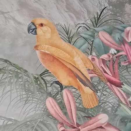 Quiet Street 11/2e * Oświęcim